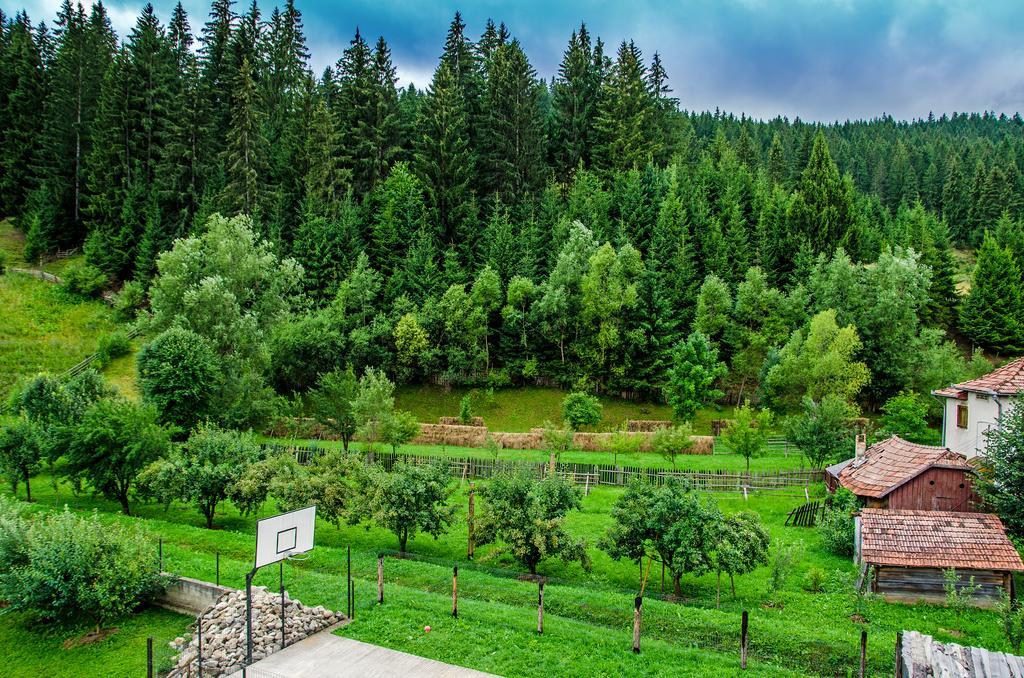 Pensiunea Casa Elvira Vama  Exteriér fotografie