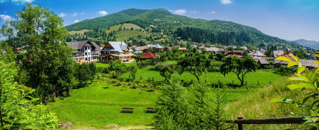 Pensiunea Casa Elvira Vama  Exteriér fotografie
