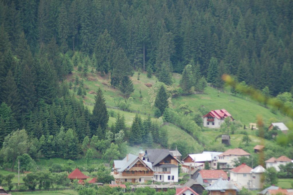Pensiunea Casa Elvira Vama  Exteriér fotografie