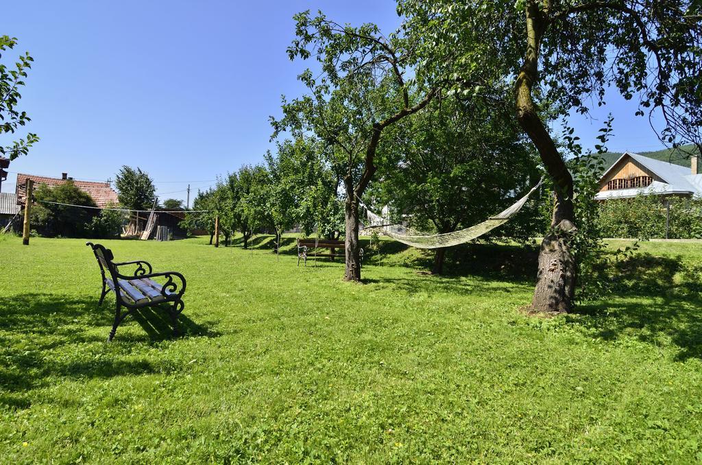 Pensiunea Casa Elvira Vama  Exteriér fotografie